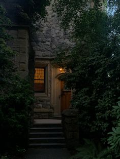 an entrance to a stone house with steps leading up to the front door and trees surrounding it