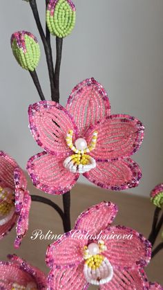 some pink flowers with green leaves on them