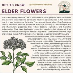 an advertisement for elder flowers with instructions