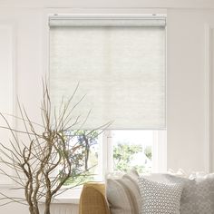 a living room filled with furniture and a tree in front of a window covered in blinds