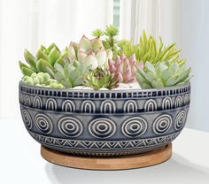 a blue and white planter with succulents in it on a table