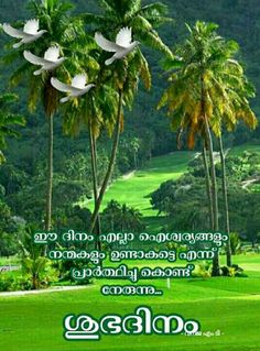 some white flowers and palm trees in front of a green field with words on it