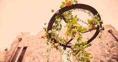 a plant hanging from the side of a tall building with vines growing out of it