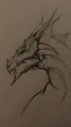 a drawing of a dragon on a sheet of paper