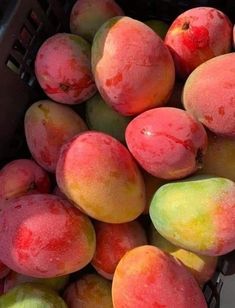 a bunch of peaches sitting in a basket