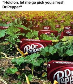 several dr pepper cans in the middle of a field