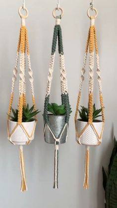 three macrame plant hangers with plants in them hanging from hooks on the wall