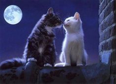 two cats sitting on top of a rock looking at each other with a full moon in the background