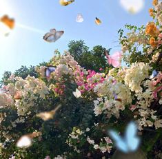 many butterflies flying in the sky above some trees and bushes with pink, white and yellow flowers