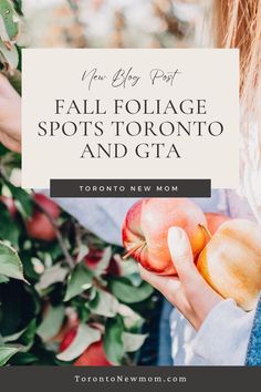 a woman holding two apples in her hands with the words fall foliage spots toronto and gta