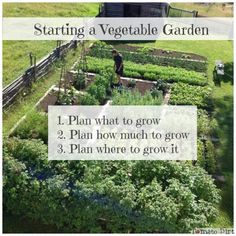 an aerial view of a vegetable garden with the text starting a vegetable garden 1 plan what to grow 2 plan how much to grow 3 plan where to grow