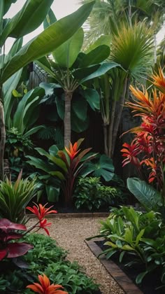 the garden is full of tropical plants and trees