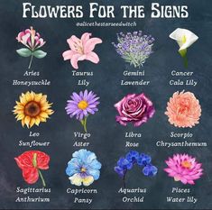 flowers for the zodiac sign on a chalkboard