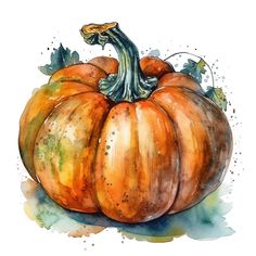 a watercolor painting of a pumpkin