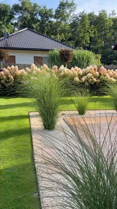 some very pretty plants in the middle of a yard with green grass and trees behind them