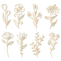 a set of cut out flowers on a white background