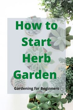 the words how to start herb garden gardening for beginners on top of a photo of succulents