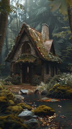 a small house in the woods with moss growing on it's roof and windows