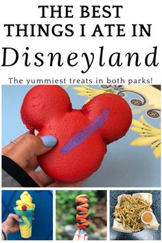 the best things i ate in disneyland - the yummyest treats in both parks