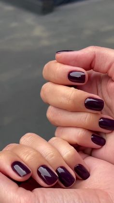 Purple Fall Nails 2024, Deep Purple Nail Ideas, Short November Nails, Purple Fall Nails, Ithaca Greece, Pretty Nail Polish, November Nails, Nail Time