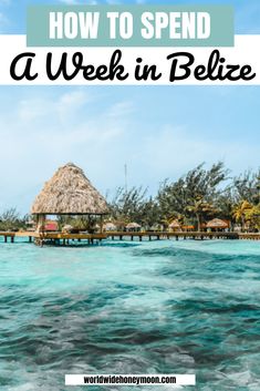 the ocean with text overlaying how to spend a week in belize