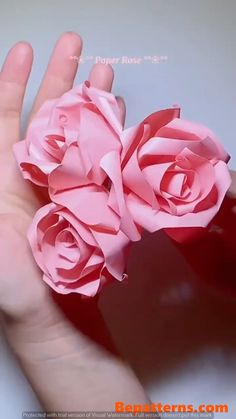 a person holding three pink roses in their hand