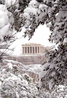 the parthenon is surrounded by snow and trees