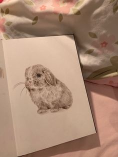 an open book with a drawing of a rabbit on it