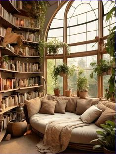 a living room filled with lots of plants and bookshelves next to a window