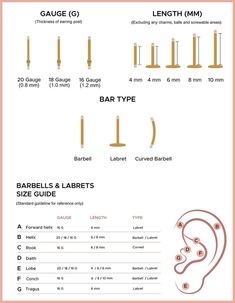 an info sheet showing different types of ear piercings