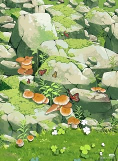 an image of rocks and grass with butterflies