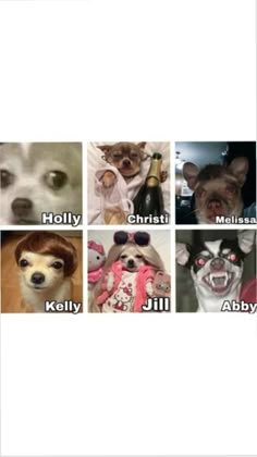 many different pictures of dogs with their mouths open and eyes closed, including the names of them