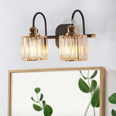 a bathroom with a mirror and two lights on the wall next to a potted plant