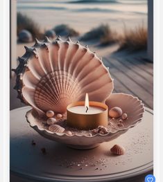 a seashell with a lit candle in it