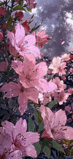 pink flowers are blooming on the tree outside in the rain, with trees and sky in the background