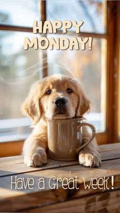 a dog sitting in front of a coffee cup with the words happy monday have a great week