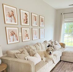 a large white dog laying on top of a couch in a living room next to a window