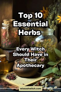 Discover the top 10 must-have herbs for your witchcraft practice! From sage and lavender to rosemary and chamomile, learn how these magical herbs can enhance your spells, rituals, and daily life. Build your perfect apothecary and embrace the power of nature's gifts. 🌿🔮 #Witchcraft #Herbs #Apothecary #Magic #Spells #WitchyTips Herbs And Witchcraft, Herbs For Spell Jars, Witchcraft Must Haves, Grounding Herbs Witchcraft, Starter Herbs For Witches, Witch Herbs List, Herbs Every Witch Should Have, Essential Witch Herbs, Must Have Herbs For Witches