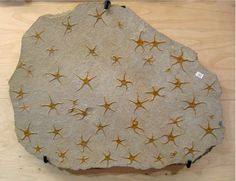 a rock with gold stars on it sitting on top of a wooden table next to a wall