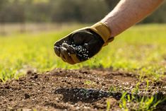 a man is digging in the dirt with his hand on top of some green grass