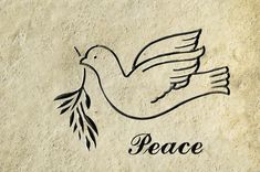 the peace dove with an olive branch on it