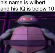 an image of a cartoon character with the caption that reads, this name is wilbert and his q is below 10