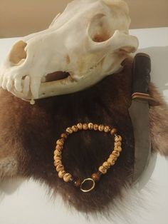 an animal's skull and bracelet are on display