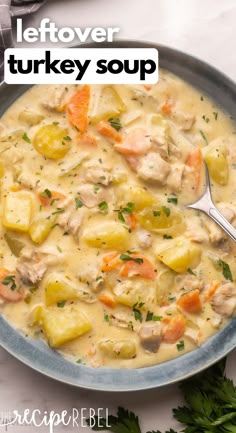 a close up of a bowl of turkey soup