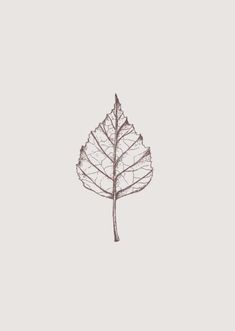 a drawing of a single leaf on a white background with the word love written below it