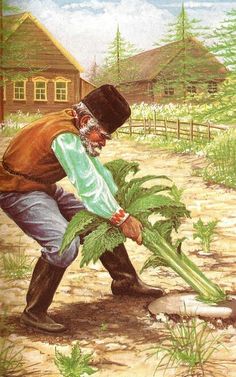 an old man is tending to plants in the dirt near a fenced area and a house