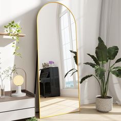 a large mirror sitting on top of a wooden floor next to a potted plant