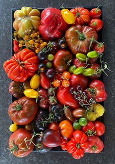 a bunch of different types of tomatoes in a black tray on a table with grey background