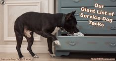 a black and white dog standing in front of a dresser with the words our giant list of service dog tasks