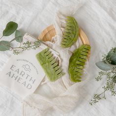 This wonderful natural jade comb was designed to gently detangle your hair. It is also widely used to destress by gently massaging scalp, which aids muscle relaxation and increased blood flow. Regardless of whether you believe in cleansing your "chi" or the healing powers of stones, the cool, soothing sensation of a scalp massage will promote a moment of mindfulness and relaxation we all need after a stressful day. Or a stressful year.  The natural jade stone is fragile, so please handle it with Jade Comb, Natural Remedies For Migraines, Dry Skin Remedies, Scalp Massager, Muscle Relaxation, Home Remedies For Hair, Makeup Stuff, Cold Home Remedies, Coconut Oil Hair